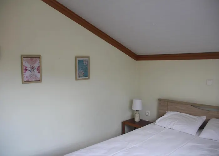 Anta Case de vacanță *